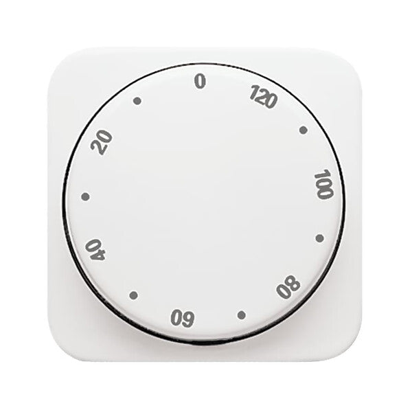 Busch-Jaeger Zentralscheibe aws Zeitschaltuhr,120Min 1771-214-102